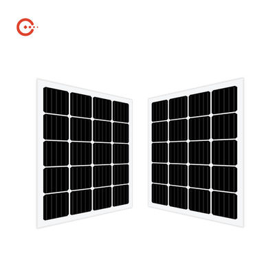 qualité  Rixin CE BIPV Solar Panels Transparent Glass Monocrystalline PV Module usine